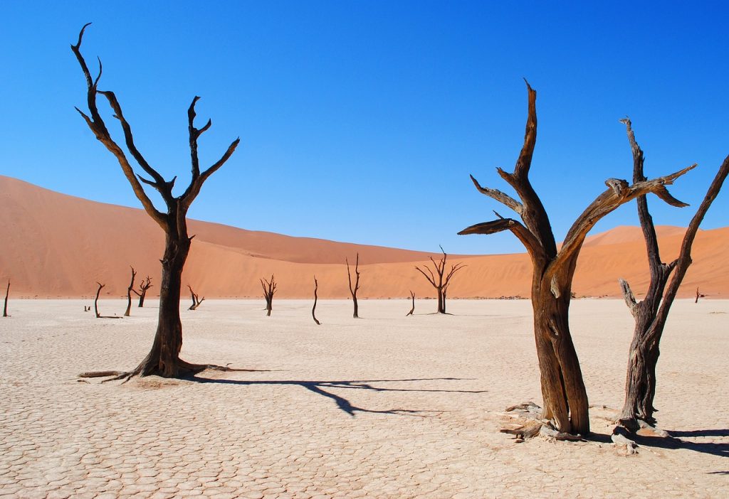 deadvlei, namibia, africa